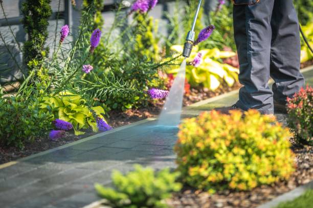 Best Dumpster Area Cleaning  in Manhattan Beach, CA